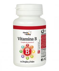 Dacia Plant Vitamina B 60 comprimate