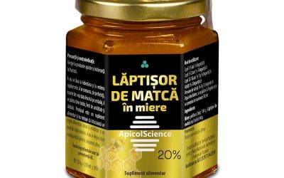 Jalea real: qué es, formatos y cómo elegir la de calidad
